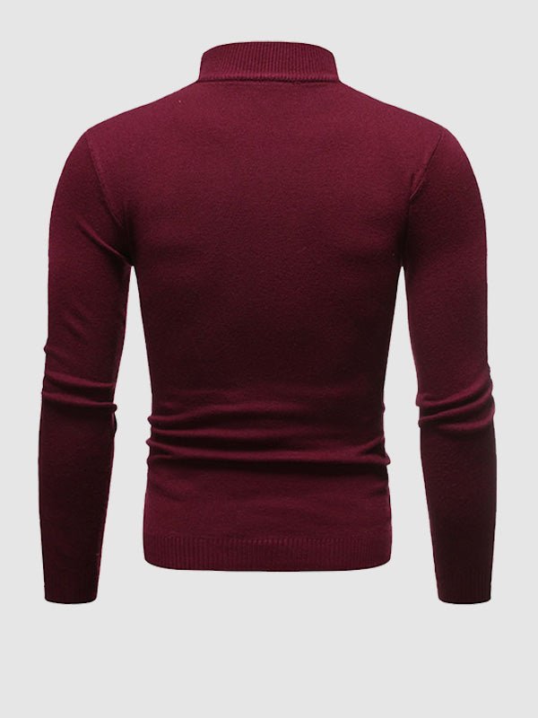 Alexander | Herren Frühlings Slim-Fit Rollkragenpullover